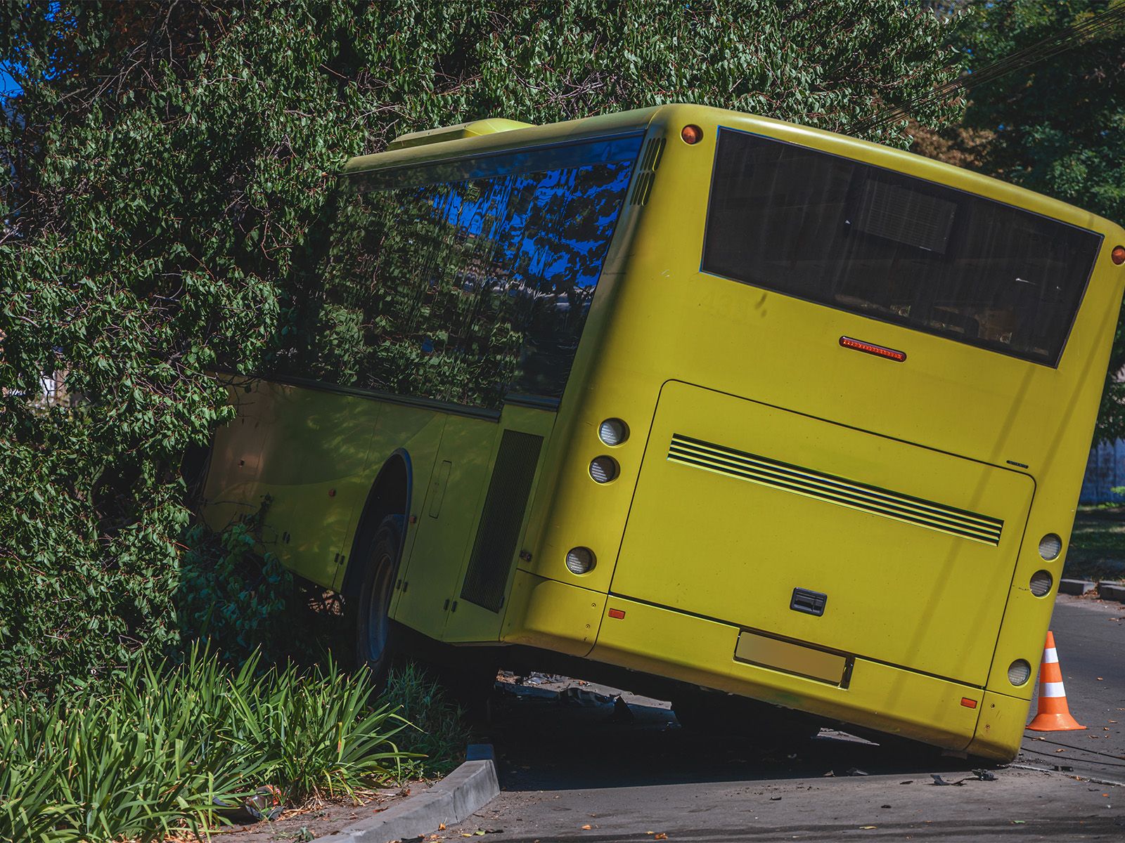 bus crashing into a tree