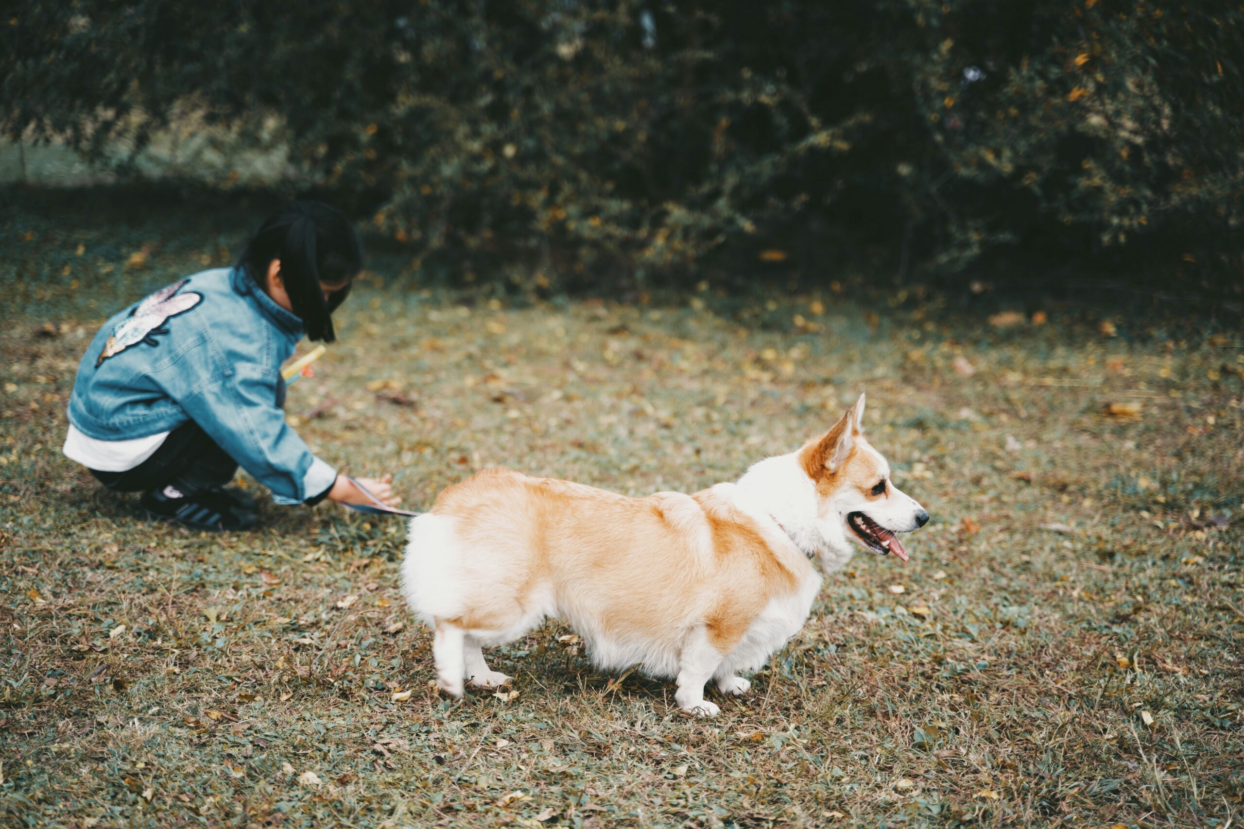 A woman kneels in the grass, interacting playfully with a dog beside her.